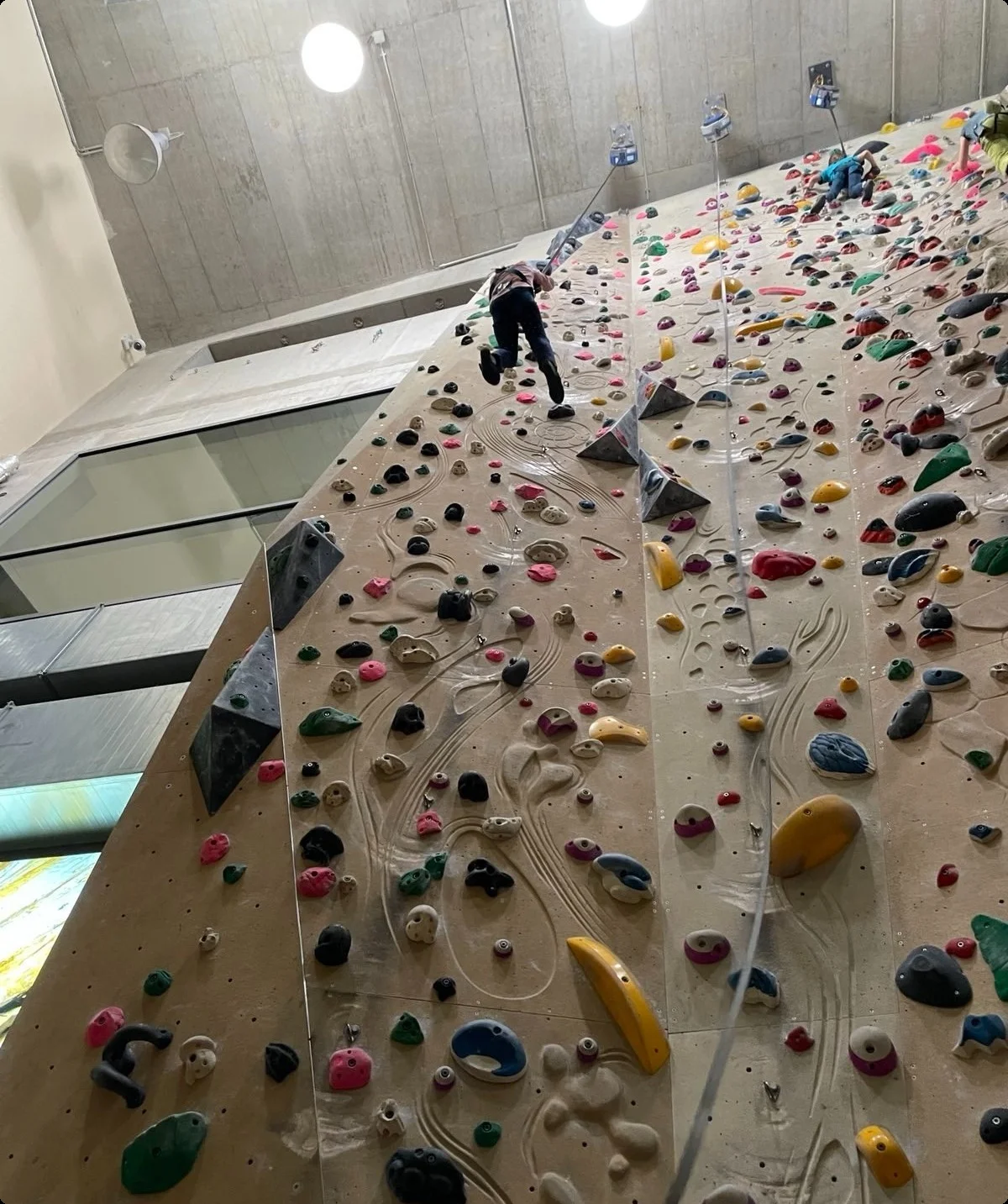 © Danielle Reiff-Jongerius