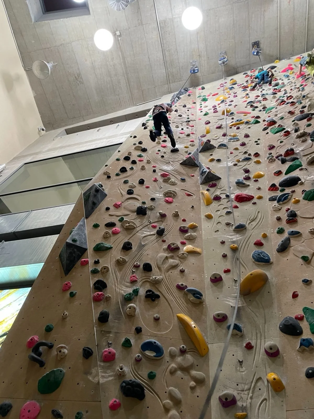 © Danielle Reiff-Jongerius